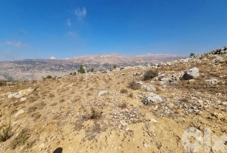 Agricultural Land for Sale in Majdal Tarchich  أرض زراعية للبيع في مجدل ترشيش
